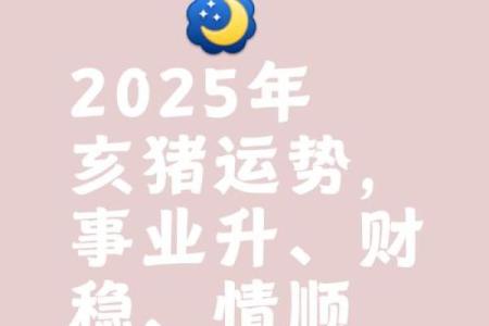 2025年属猪的人的全年运势_2025年属猪人全年运势详解财运事业感情全面解析
