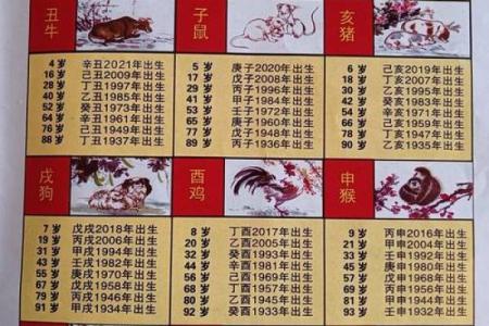 鸡属相年份对照表 2024年鸡属相年份对照表全面解析生肖鸡的运势与特点