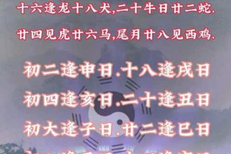 如日中天什么生肖