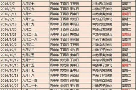 2007年2月6日属猪还是属狗_2007年2月6号出生是什么命