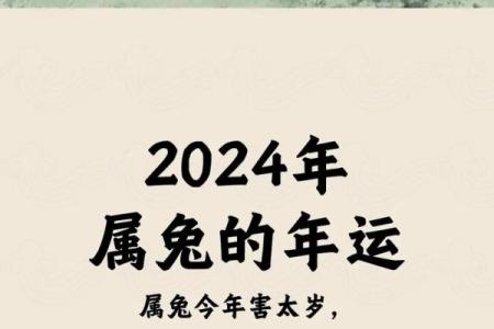 属兔的2025年运势和财运怎么样 2025年属兔人运势与财运详解全面解析未来一年