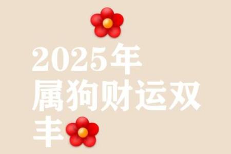 2025年对属狗的人好不好 82年属狗人42岁过七劫