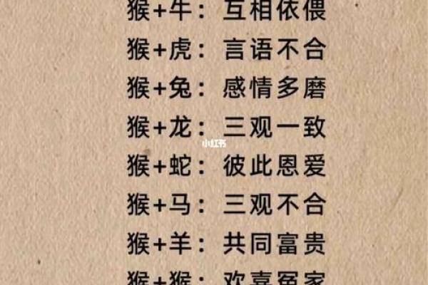 两雄相争是什么生肖 两雄相争是什么生肖