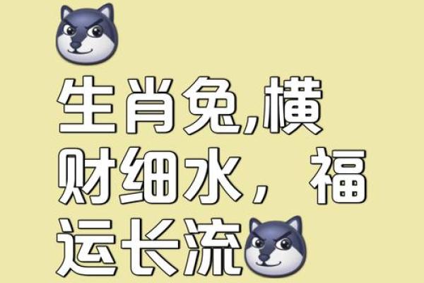 属兔和属马的合作财运怎么样_属兔和属马合作生财好不好 属兔和属马的合作财运怎么样_属兔和属马合作生财好不好