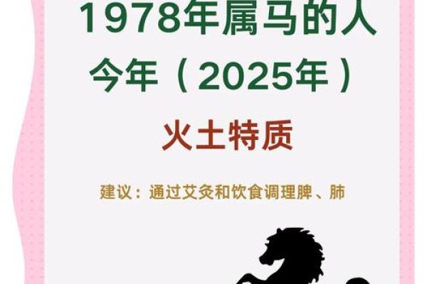 1978年属马人2025年运势详解吉凶预测与运程指南 1978年属马人2025年运势详解吉凶预测与运程指南