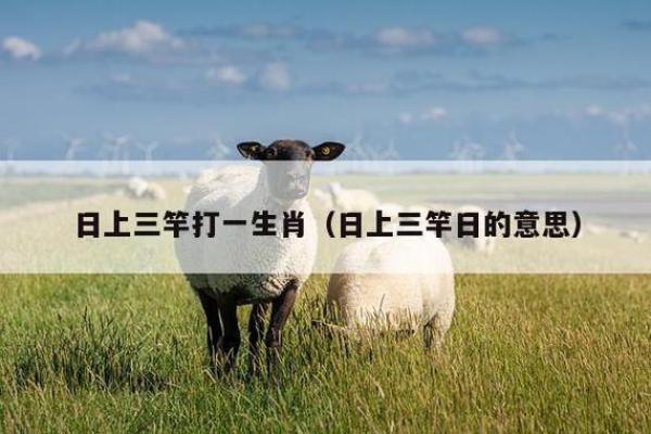 风餐露宿打一生肖