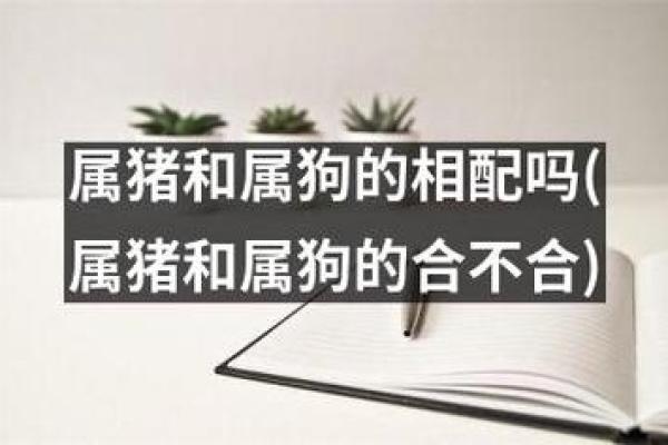 2007年1月属狗还是属猪_2007年1月属狗的今年多大 2007年1月属狗还是属猪_2007年1月属狗的今年多大