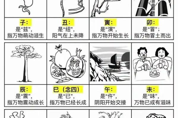 贪生怕死是什么生肖 贪生怕死是什么生肖