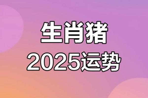 属猪的2025年运势如何 2025年71属猪人的全年运势如何