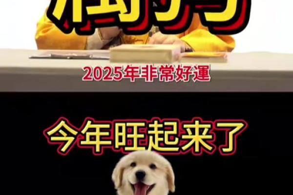 属狗2025年财运 70年属狗2025年财运 属狗2025年财运 70年属狗2025年财运