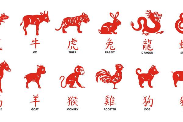 入地钻洞是什么生肖 入地钻洞是什么生肖