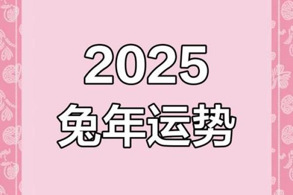 属兔2025年必有一难_2025年属兔人必有一难如何化解与应对