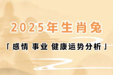 1987年属兔女2025年运势 1987年属兔女2025年运势详解事业财运爱情全解析