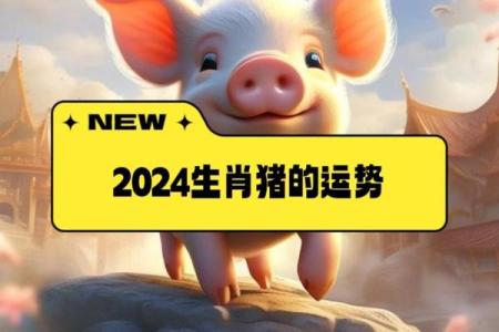 1983年属猪2024年运势解析财运事业感情全攻略