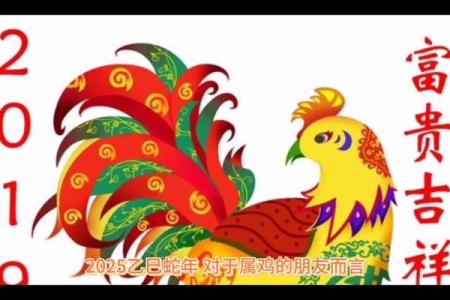 2025是属鸡人发财时期吗_属鸡不能穿什么颜色