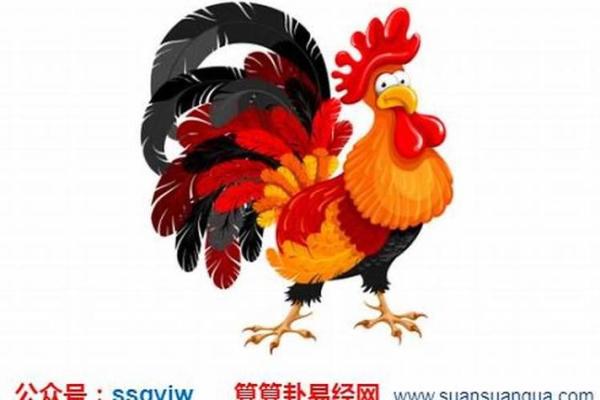 81年属鸡今日偏财运解析如何把握财富机遇 81年属鸡今日偏财运解析如何把握财富机遇