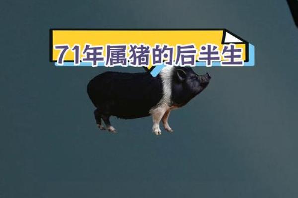 2025年属猪运势及运程1971年生人_1971的猪在2025的运程 2025年属猪运势及运程1971年生人_1971的猪在2025的运程