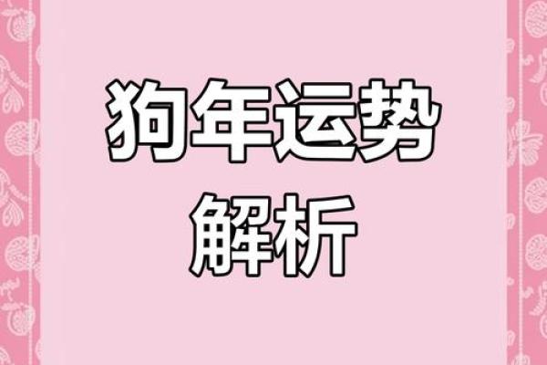 2025年属狗人运势_2025年生肖狗全年运程 2025年属狗人运势_2025年生肖狗全年运程