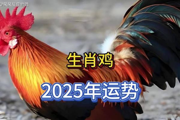 2025年属鸡的犯太岁吗 2025年属鸡犯太岁吗运势解析与化解方法 2025年属鸡的犯太岁吗 2025年属鸡犯太岁吗运势解析与化解方法