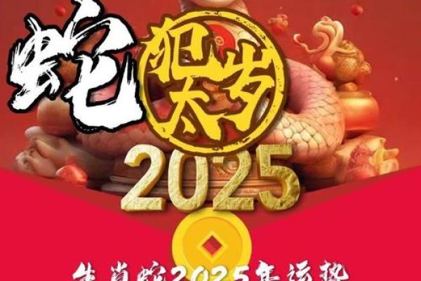 属猪在2025蛇年的运气_属猪今年运气 属猪在2025蛇年的运气_属猪今年运气