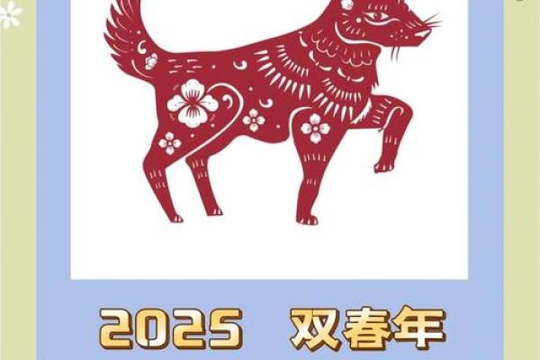 94年属狗人2025年全年运势 2025年属狗人全年运势详解94年出生者必看