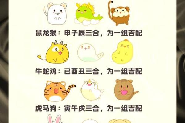 三心二意打一正确生肖