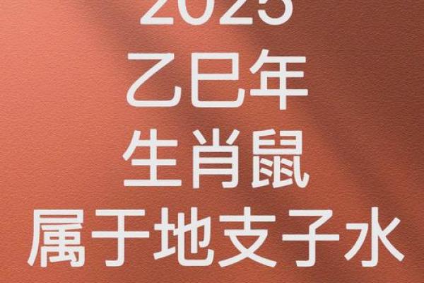 1960年属鼠2025年运势 1960年属鼠2025年运势