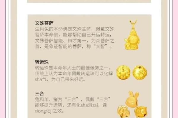 75年属兔今年多少岁2023年属兔人年龄详解 75年属兔今年多少岁2023年属兔人年龄详解