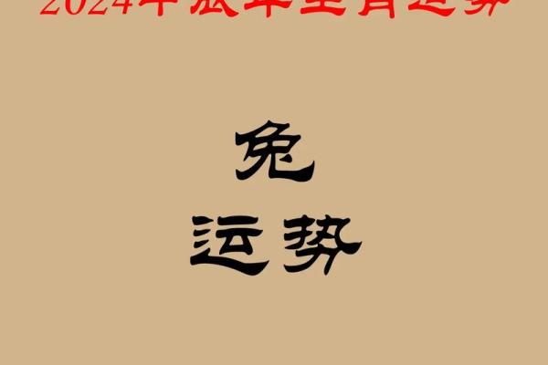 2000年一月出生属兔还是龙生肖年份解析 2000年一月出生属兔还是龙生肖年份解析