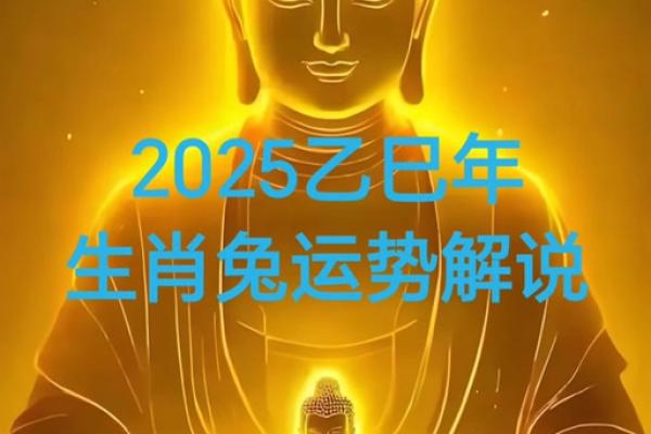 2025年属兔的年龄计算及运势解析