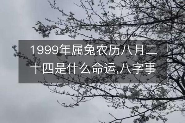 1999年属兔婚姻和运势_1999年属兔人婚姻命运 1999年属兔婚姻和运势_1999年属兔人婚姻命运