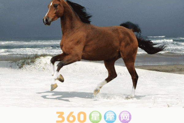 1990年属马的五行属性是什么 1990年属马的在五行里属于什么