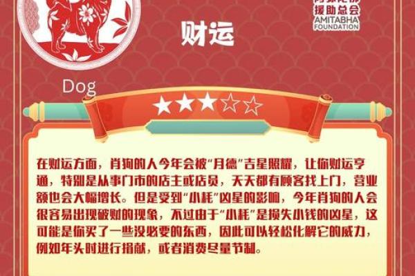 属狗人今天的财运偏财_属狗人今日偏财运解析如何抓住财富机遇