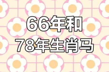 1966年属马人的命运如何_1966年属马的命相