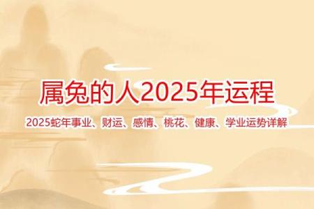 2025年属兔的人的全年运势_1975属兔最难熬年龄