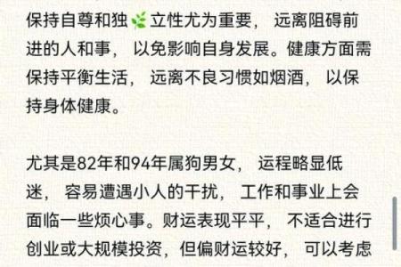 1982年属狗人2025年全年运势详解及运程预测