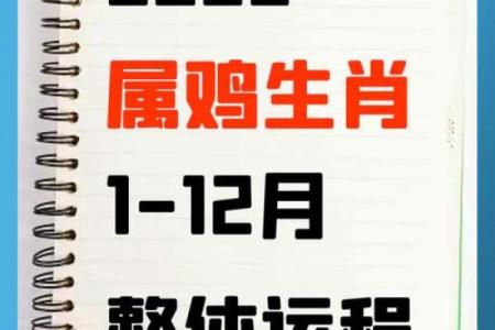 今日属鸡运势解析财运事业感情全揭秘