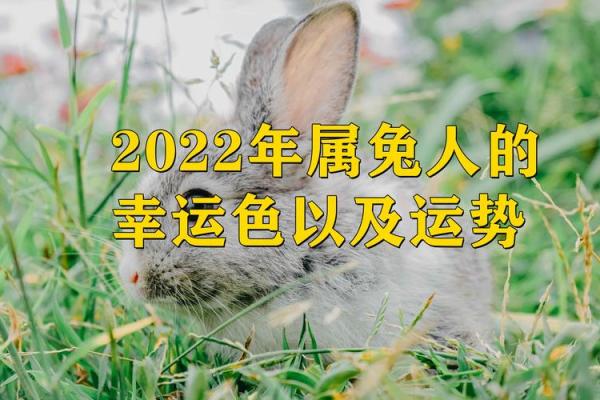 2025属兔的今年多大了 2025年属兔的人今年多大年龄计算与运势解析 2025属兔的今年多大了 2025年属兔的人今年多大年龄计算与运势解析