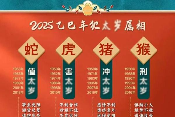 2025属鼠的运势 2025属鼠的运势