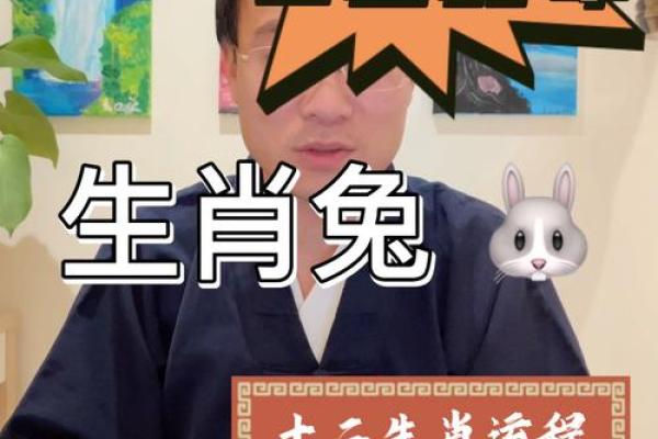 1987年属兔今日运势 87年属兔人今日运程 1987年属兔今日运势 87年属兔人今日运程