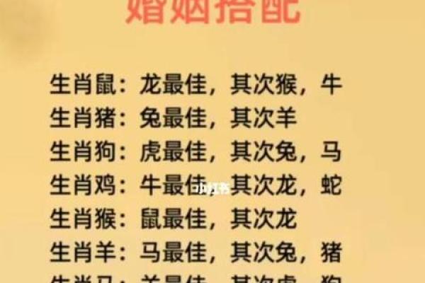 属虎和属猪的婚姻相配吗 属虎和属猪的婚姻相配吗解析生肖配对与婚姻幸福 属虎和属猪的婚姻相配吗 属虎和属猪的婚姻相配吗解析生肖配对与婚姻幸福