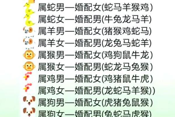 2002属马最佳结婚属相_02属马男人最佳妻子 2002属马最佳结婚属相_02属马男人最佳妻子