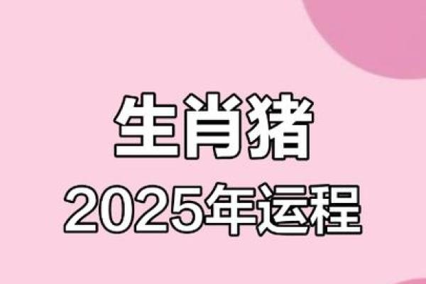 2025年83年属猪人全年运势_83年属猪最旺盛的一年 2025年83年属猪人全年运势_83年属猪最旺盛的一年