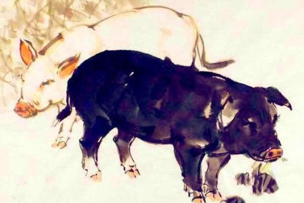 东家夫子打一生肖