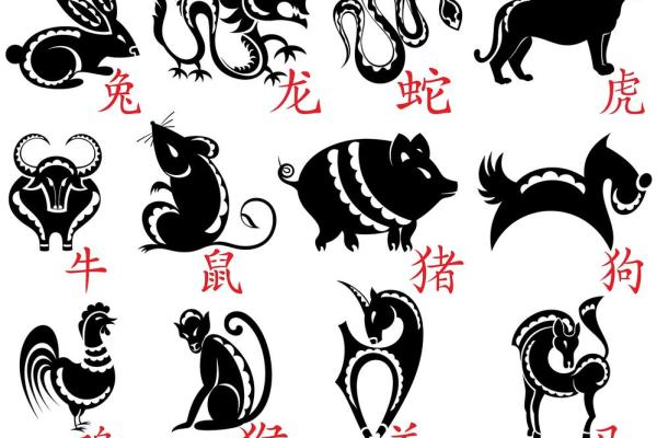 骨瘦如柴是什么生肖