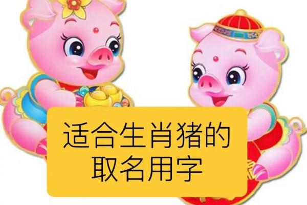 鸡和猪的孩子最好属什么_属鸡和属猪的生个属什么的宝宝好