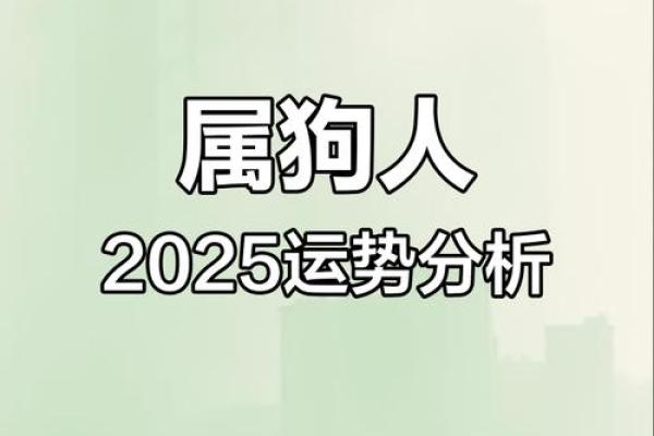 2025年属狗女1970年运势详解财运事业感情全解析 2025年属狗女1970年运势详解财运事业感情全解析