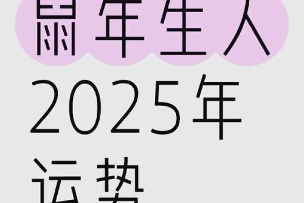 1984年属鼠2025年运势 1984年属鼠2025年运势