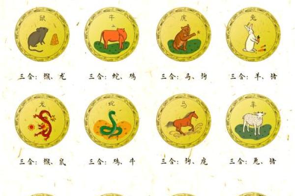 惊天动地是什么生肖