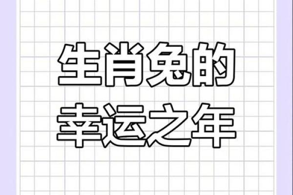 2024属兔人的全年运势如何_2024属兔人的全年运势如何1987